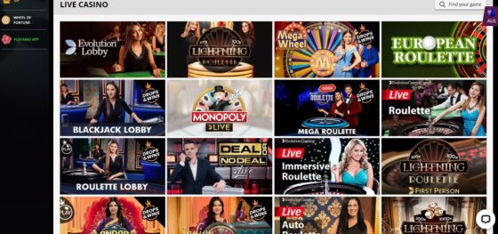 Playamo Casino live