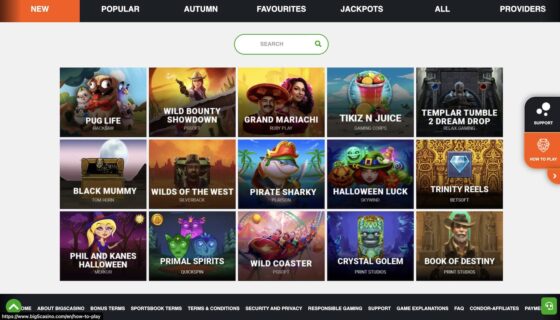 Spielautomaten Big5Casino